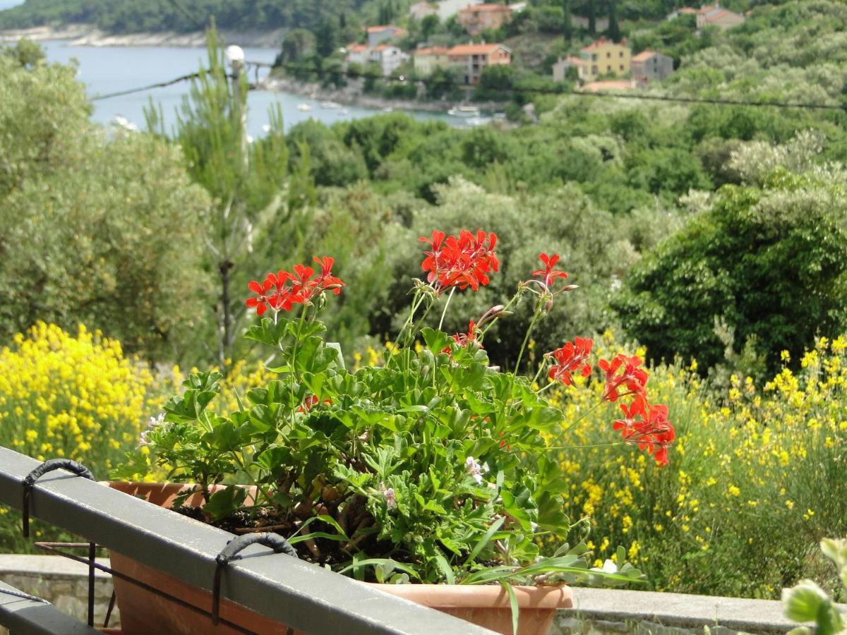 Appartement Vedran à Labin  Extérieur photo